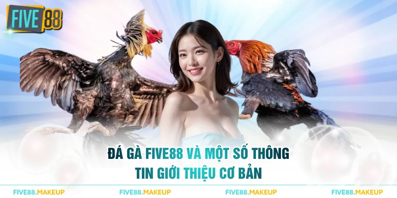 Đá gà FIVE88 và một số thông tin giới thiệu cơ bản